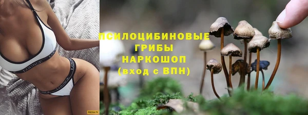 первитин Горно-Алтайск
